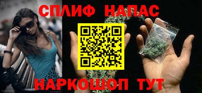 стаф Будённовск