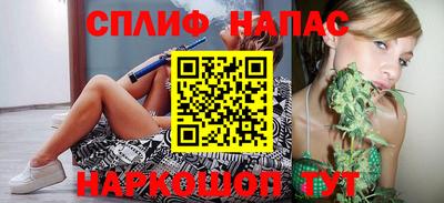 стаф Будённовск